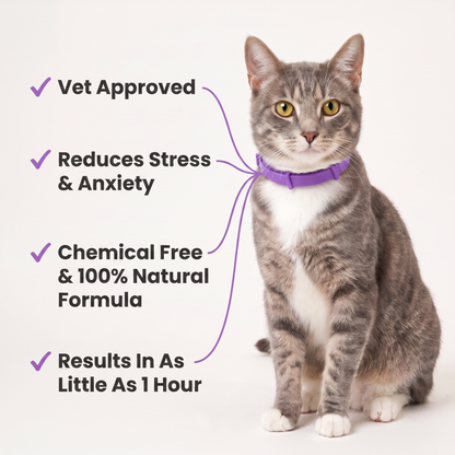 CalmKitty Pheromone Collar