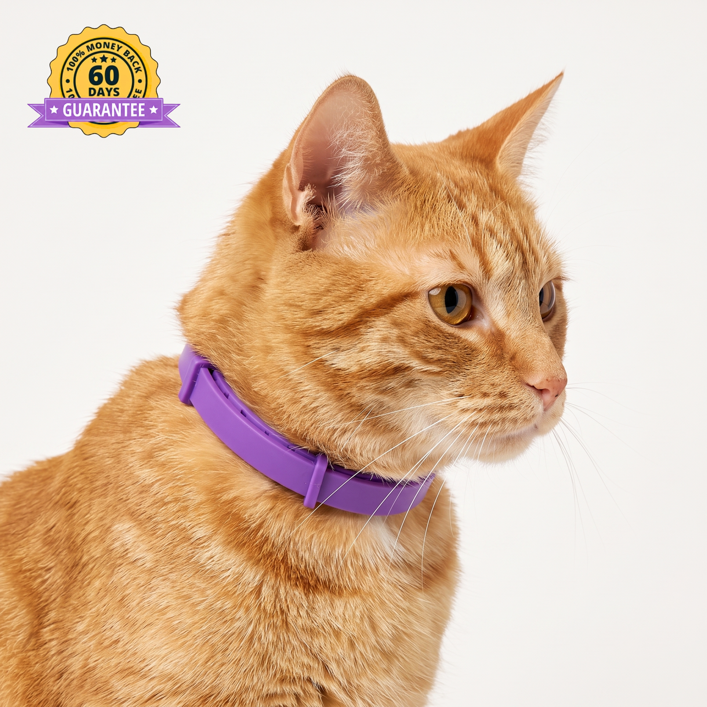 CalmKitty Pheromone Collar