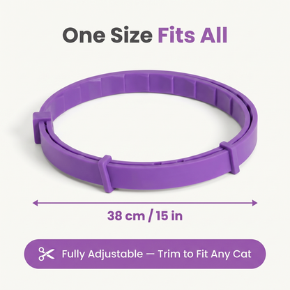CalmKitty Pheromone Collar